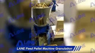 LANE Feed Pellet Machine Granulation