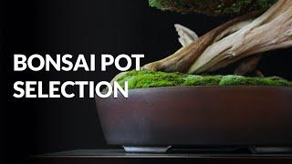 Choosing a Bonsai pot