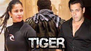 OMG Katrina Kaif Made Salman Khan Angry On Tiger Zinda Hai Sets