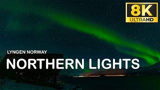 Witness Enchanting 8k Northern Lights Spectacle In Lyngen Norway