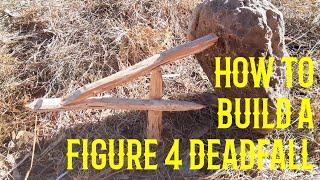 How to Build a Figure 4 Deadfall