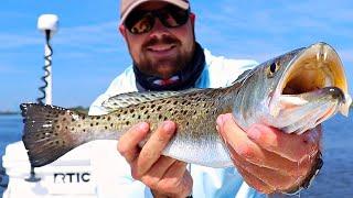 Top 3 Types Of Spots To Fish On A Incoming Tide And Why