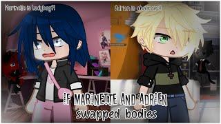 If Marinette and Adrien swapped bodies  MLB AU 