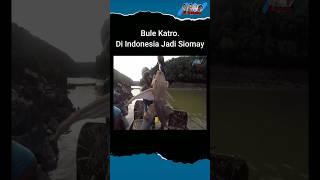 Katanya Ikan Langka #ikan #mancing #siottong