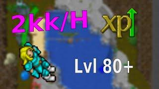 2kk exph @ 80+   Tibia low level mage hunting spawn guide   Easy chill hunt Max fiveminutes