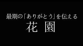 綺麗なお花に囲まれて・・・