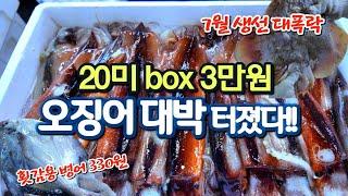 진짜 깡패가격?? 오징어 box 3만원 횟감 병어 350원 간재미 6마리 만원  참조기180원 이게 생선값?? 가락동수산시장 오징어 제대로 터졌네요