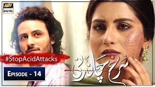 Surkh Chandni  Episode 14  23rd July 2019  ARY Digital Subtitle Eng