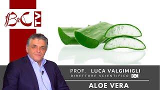 Aloe Vera antinfiammatoria lenitiva cicatrizzante e disarrossante - BeC natura