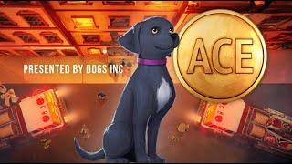 ACE  Dogs Inc