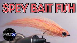 Saltwater streamer  Sea Trout Flies  Spey Hackle  Spey Bait Fish