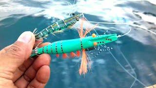 Mancing Cumi Spot Teluk Tomini-Angler Cumi