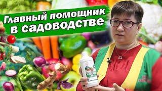 ПРИМЕНЯЙТЕ ФИТОСПОРИН ТАК И ПРОБЛЕМ НЕ БУДЕТ #огород #сад #рассада