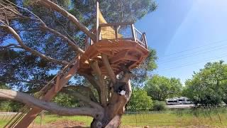 Treedeck - treehouse platforms