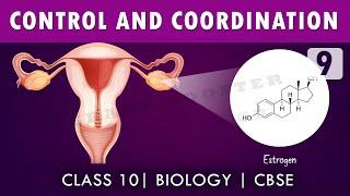 #controlandcoordination   10th Biology #CBSE  NCERT class 10 science  Chapter 7 part-9