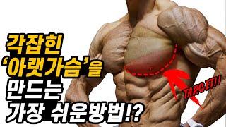 각진 아랫 가슴을 만드는 간단한 방법? 99%가 잘못된 자세로 딥스를 합니다