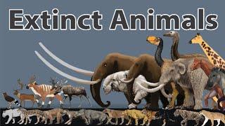 Extinct Animals Size Comparison in 2024  Prehistoric Animals Size Comparison in 2024