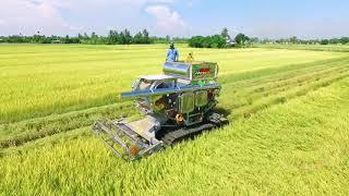 Mesin padi Thailand kat sungai padang perlis #harvester #combine #paddy #Rice