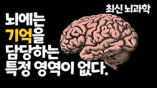 뇌는 기억을 이렇게 만든다 I 기억력 높이는 뇌과학적 방법