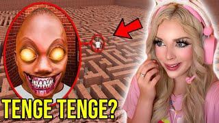 If you See Tenge Tenge.EXE in a Maze... RUN AWAY FAST