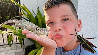 MY PET LIZARD Caleb & DAD CATCH LIZARDS and CATCHING BUGS in FLORIDA