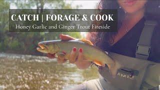 CATCH & COOK  River Fishing For Book Trout  Foraging Wild Ginger and Ramps