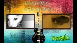 MOUNTING ADVENTURES - MUSIC  SONG OF CATS