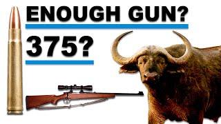 Is a 270-gr. 375 H&H bullet enough for the notorious Zambezi Delta Cape Buffalo?