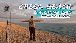 Chesil Beach Catching Bait  Fishing For Monsters 