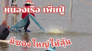 ยกยอหนองเรือเพียปู่ อำเภอไชยวาน อุดร ได้หาบได้หาม