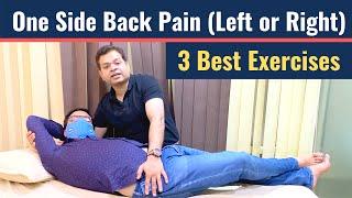 Treatment For Lower Back Pain One Side Back Pain Quadratus Lumborum Exercises for Lower Back Pain