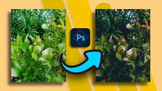 Master Photo Editing with Photoshop Express  Edit photos like a pro with Photoshop Express  EP4