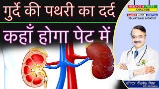 गुर्दे की पथरी का दर्द कहाँ होगा पेट में  ORGANS INSIDE ABDOMEN Part 4