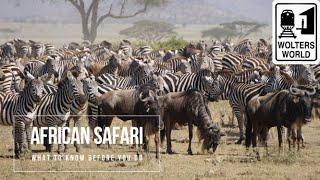 Safari Travel What to Know Before You Go on an African Safari