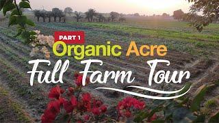 Fun Farm Tour - ORGANIC ACRE  Part-1  घर बैठे देखें मेरा पूरा खेत @OrganicAcre