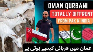 Eid Special  Oman Mein Qurbani Kaisy hoti ha  عمان میں قربانی کیسے ہوتی ہے