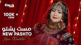 New Mast Pashto Song For Dance 2024  پشتو مست سندره