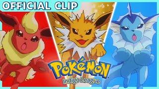 An Evolution Party  Pokémon Indigo League  Official Clip