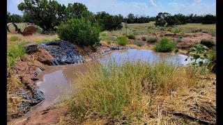 From High Desert to Oasis  How to make your land hold water