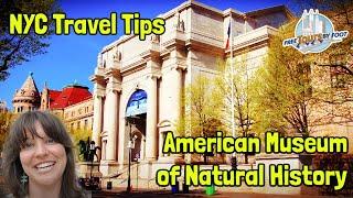 American Museum of Natural History NYC Tickets Tours and Planning Tips