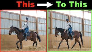 HOW TO SLOW A FAST HORSE DOWN 