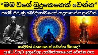 පාරමී පිරුණු බෝදිසත්වයෙක් හදුනාගන්න පුළුවන්  සෘදිමත් රහතෙක් වෙන්න ඕනෙද  මම වගේ බුදුකෙනෙක්