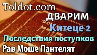 Китеце 2 книга Дварим. Недельные главы Торы 309 рав Моше Пантелят