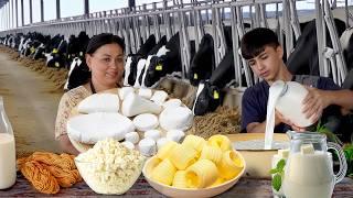 Farm to Table Made Cheese Chechil & Mozzarella & Sour Cream from 120 Liter Milk