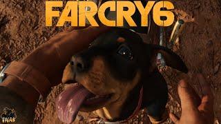 So ein HUND FarCry 6