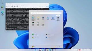 Linuxfx 11.1 WxDesktop 11.0.4 - Installation in VirtualBox