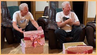 New Puppy Surprise Compilation 2024  Wholesome Surprise Moments