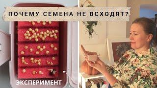 Почему не всходят семена? Как хранить семена сто лет?