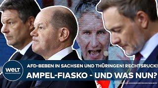 LANDTAGSWAHL AfD-Beben in Sachsen und Thüringen Rechtsruck Fiasko für die Ampel - und was nun?