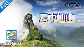 【Full】寻找云中仙山！爬人造天桥体验《流浪地球》孤寂感，到“中国抹茶之都”品尝特色抹茶面  CCTV「正大综艺」20240630